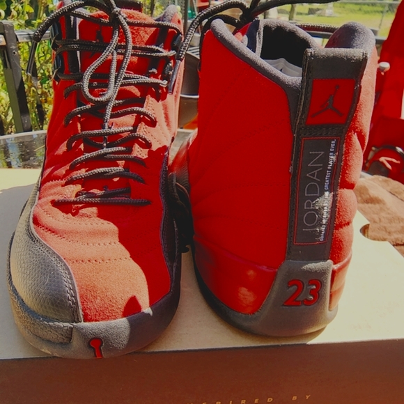 Air Jordan 12 \